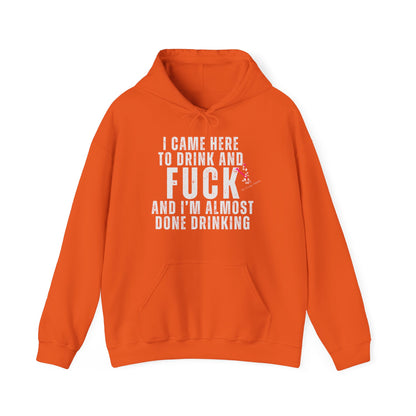 I CAME TO DRINK: Unisex Heavy Blend™ Hooded Sweatshirt